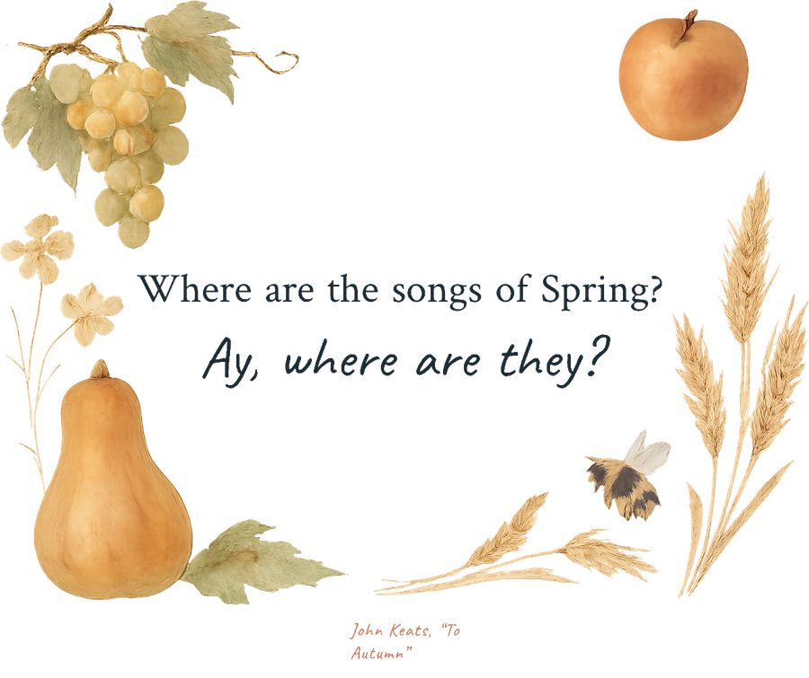Where are the songs — Enhanced Matte Paper Framed Poster (cm) — the design
