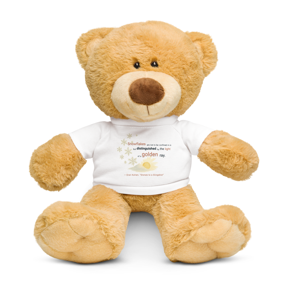Stones to a Slingshot — Teddy Bear with a T-shirt